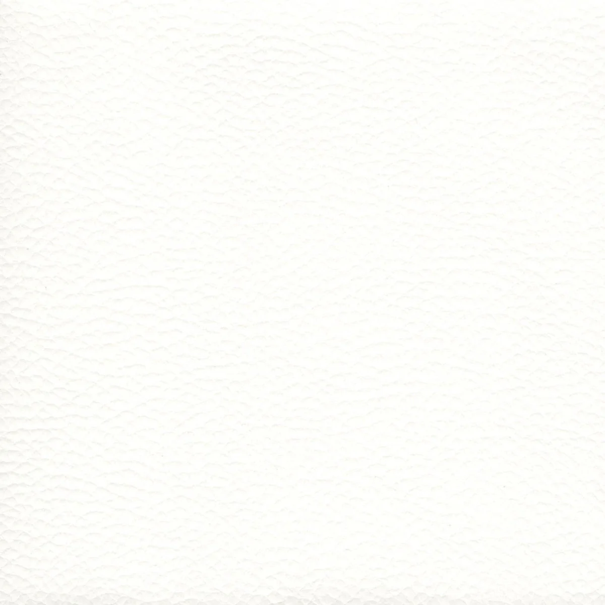 Thumbnail 29
